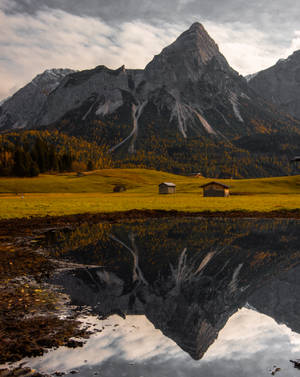 Vibrant Fields In Austria Wallpaper