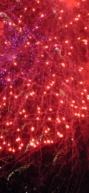 Vibrant Fireworks Display Wallpaper