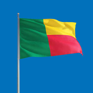 Vibrant Flag Of Benin Wallpaper