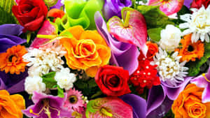 Vibrant Floral Assortment Wallpaper