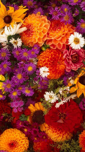 Vibrant_ Floral_ Collage.jpg Wallpaper