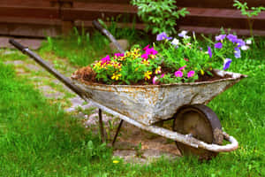 Vibrant Flower Cart In A Picturesque European Market Wallpaper