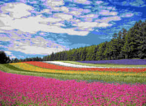 Vibrant_ Flower_ Fields_4 K Wallpaper