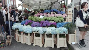 Vibrant Flower Market Bustling With Customers Wallpaper