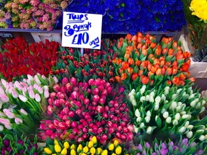 Vibrant Flower Market Display Wallpaper