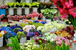 Vibrant Flower Market Wallpaper