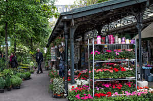 Vibrant Flower Market Stall Wallpaper
