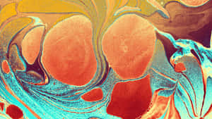 Vibrant Fluid Abstract Shapes Wallpaper