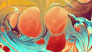 Vibrant Fluid Abstract Shapes Wallpaper