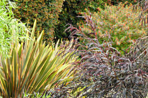 Vibrant Garden Texture Variety Wallpaper