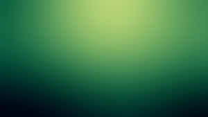 Vibrant Green Gradient Background Wallpaper