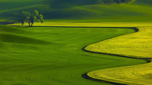 Vibrant Green Landscape Wallpaper