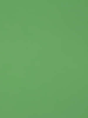 Vibrant Green Solid Background Wallpaper