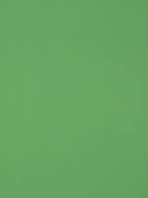 Vibrant Green Solid Background Wallpaper