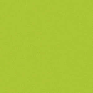 Vibrant Green Solid Color Background Wallpaper