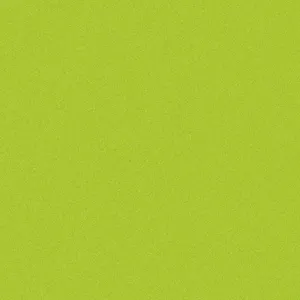 Vibrant Green Solid Color Background Wallpaper