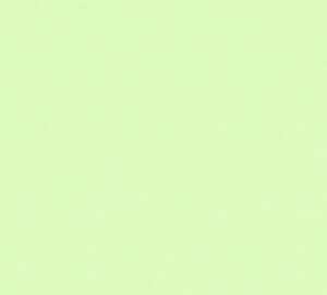 Vibrant Green Solid Color Wallpaper Wallpaper