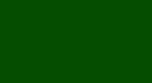 Vibrant Green Solid Color Wallpaper Wallpaper
