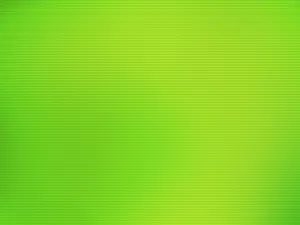 Vibrant Green Solid Color Wallpaper Wallpaper