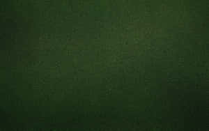 Vibrant Green Texture Wallpaper