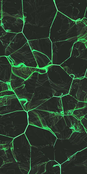 Vibrant Green Texture Abstract Wallpaper Wallpaper