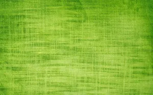 Vibrant Green Texture Background Wallpaper