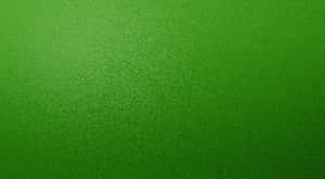 Vibrant Green Texture Wallpaper Wallpaper