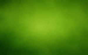 Vibrant Green Texture Wallpaper Wallpaper