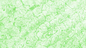 Vibrant Green Textured Background Wallpaper