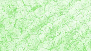 Vibrant Green Textured Background Wallpaper