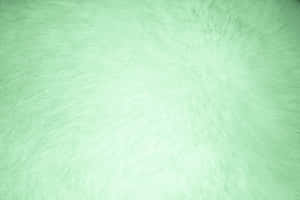 Vibrant Green Textured Background Wallpaper