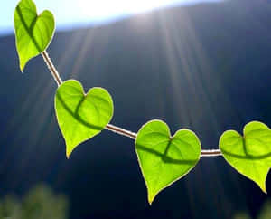 Vibrant Heart Shape On A Dark Background Wallpaper