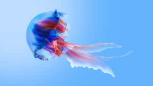 Vibrant_ Jellyfish_ Artistry Wallpaper