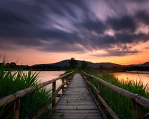 Vibrant Kaleidoscope Of Color Wallpaper