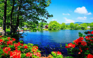 Vibrant_ Lake_ Side_ Floral_ View.jpg Wallpaper