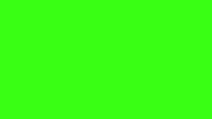 Vibrant Lime Green Abstract Background Wallpaper