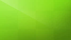 Vibrant Lime Green Abstract Wallpaper Wallpaper