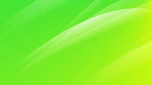 Vibrant Lime Green Abstract Wallpaper Wallpaper