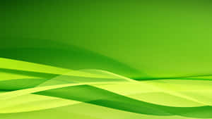 Vibrant Lime Green Abstract Wallpaper Wallpaper