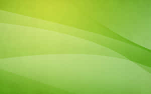 Vibrant Lime Green Abstract Wallpaper Wallpaper