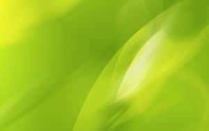 Vibrant Lime Green Background Wallpaper