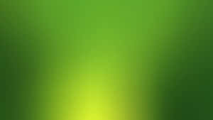 Vibrant Lime Green Background Wallpaper