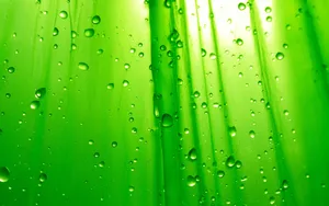 Vibrant Lime Green Gradient Background Wallpaper