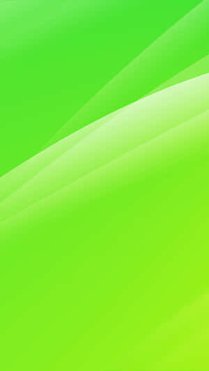 Vibrant Lime Green Nature Background Wallpaper