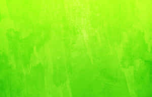 Vibrant Lime Green Splash Wallpaper