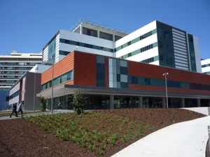 Vibrant Lower Hutt Landscape Wallpaper