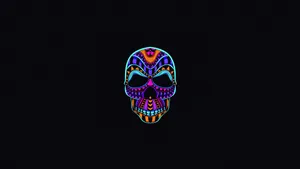 Vibrant Minimalist Colorful Wallpaper Wallpaper