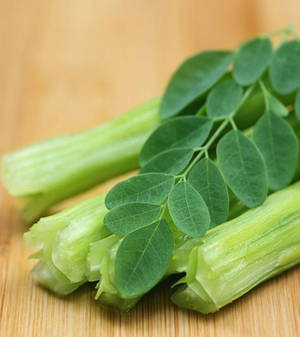 Vibrant Moringa Leaves On Stalks Wallpaper