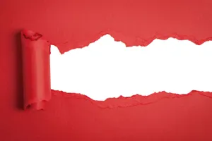 Vibrant Nature Scene Wallpaper