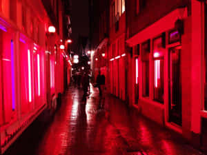 Vibrant Neon Lights In The Red Light District Wallpaper
